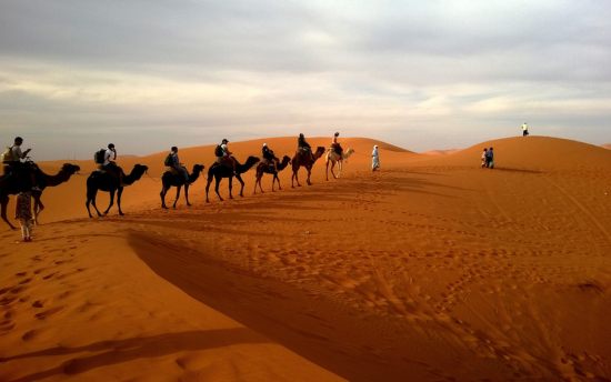 Thar Desert Safari Rajasthan Family Tour