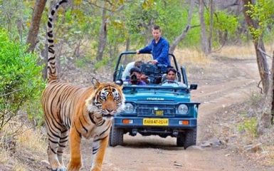 Rajasthan Golden Triangle Luxury Tour Packages