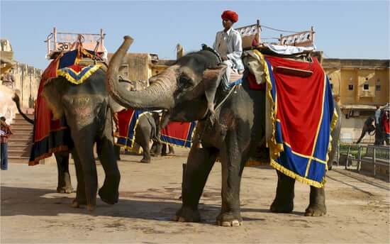 17 days Golden Triangle Tour Package